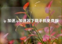 ip 加速,ip加速器下载手机免费版