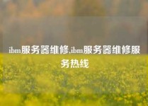 ibm服务器维修,ibm服务器维修服务热线