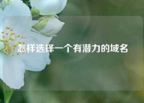 怎样选择一个有潜力的域名