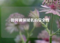 如何确保域名的安全性