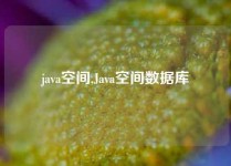 java空间,Java空间数据库
