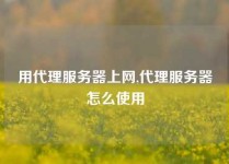 用代理服务器上网,代理服务器怎么使用