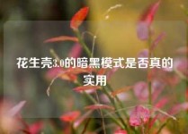 花生壳3.0的暗黑模式是否真的实用
