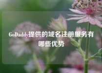 GoDaddy提供的域名注册服务有哪些优势