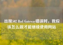 出现502 Bad Gateway错误时，我应该怎么做才能继续使用网站