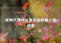 使用代理网址是否会影响上网速度