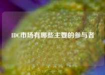IDC市场有哪些主要的参与者