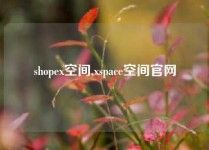 shopex空间,xspace空间官网