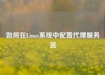 如何在Linux系统中配置代理服务器