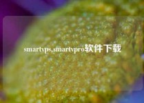smartvps,smartvpro软件下载