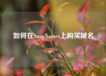 如何在SnapNames上购买域名