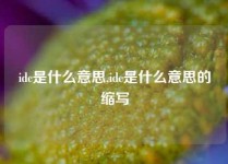 idc是什么意思,idc是什么意思的缩写