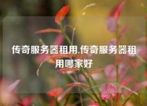 传奇服务器租用,传奇服务器租用哪家好