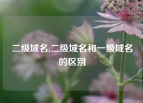 二级域名,二级域名和一级域名的区别