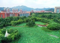 山东vps,山东科技大学