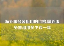 海外服务器租用的价格,国外服务器租用多少钱一年