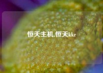 恒天主机,恒天kkr