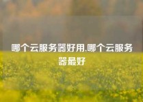 哪个云服务器好用,哪个云服务器最好