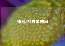 锐速8的性能如何