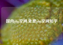 国内php空间,免费php空间知乎