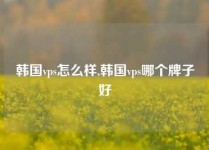 韩国vps怎么样,韩国vps哪个牌子好