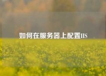 如何在服务器上配置IIS