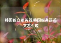 韩国独立服务器,韩国服务器英文怎么说