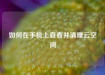 如何在手机上查看并清理云空间