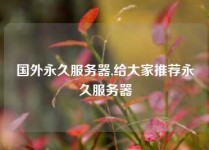 国外永久服务器,给大家推荐永久服务器