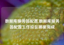 数据库服务器配置,数据库服务器配置工作应在哪里完成