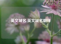 英文域名,英文域名翻译