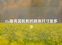 42u服务器机柜的具体尺寸是多少