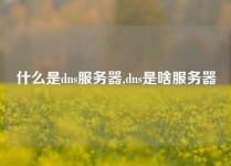 什么是dns服务器,dns是啥服务器