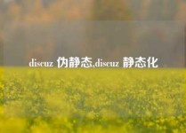 discuz 伪静态,discuz 静态化