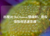出现502 Bad Gateway错误时，我应该如何迅速处理