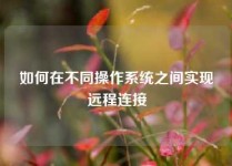 如何在不同操作系统之间实现远程连接