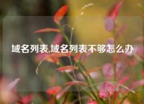 域名列表,域名列表不够怎么办