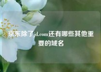 京东除了jd.com还有哪些其他重要的域名