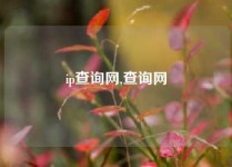 ip查询网,查询网