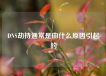 DNS劫持通常是由什么原因引起的