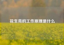 花生壳的工作原理是什么