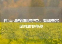 在Linux服务器维护中，有哪些常见的职业挑战