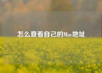 怎么查看自己的Mac地址
