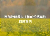 西部数码虚拟主机的价格是如何设置的