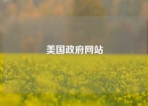 美国政府网站