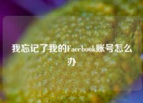 我忘记了我的Facebook账号怎么办