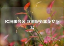 欧洲服务器,欧洲服务器英文缩写