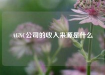 AGNC公司的收入来源是什么
