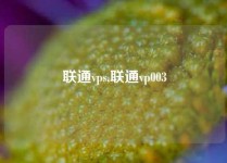 联通vps,联通vp003