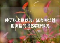 除了以上推荐的，还有哪些其他类型的域名解析服务